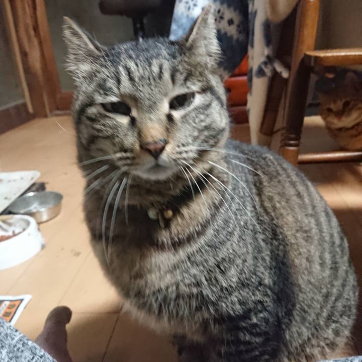 45f0145f 961a 45b5 b602 32d2fb150eac 1647444565390