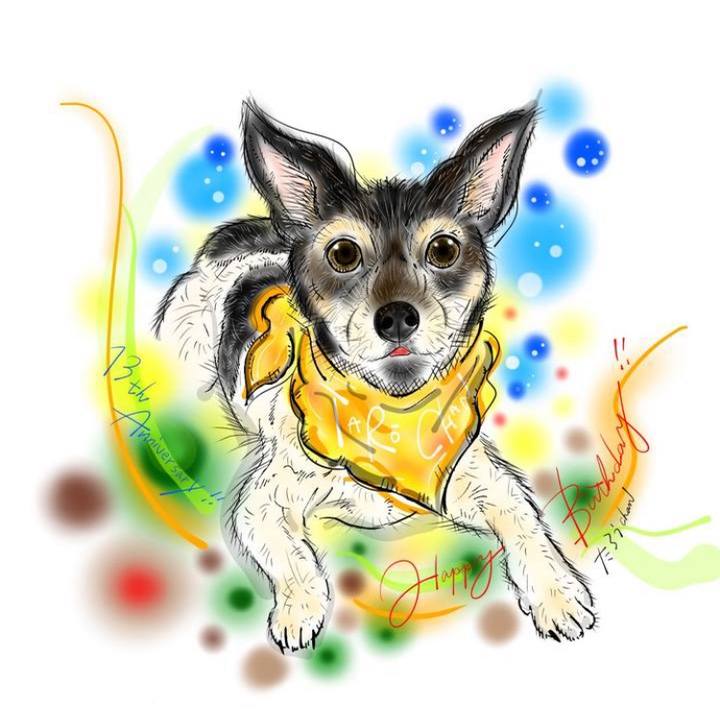 45f02100 34a8 48d0 8f3c e9abcb450eff 1625268008295