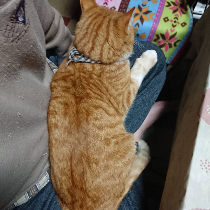 45f027e5 bd7d 4c21 8cec 07367592a850 1575233593098