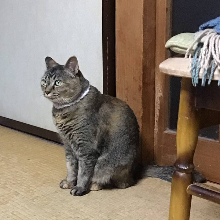 45f03518 4c9c 4171 a2fd ad75db722808 1751361702772