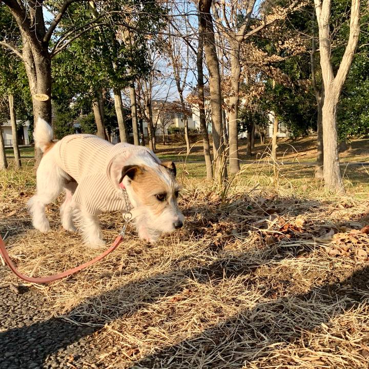 45f0422c 0fc0 45bc bdb7 c0517ba01f87 1612168342892