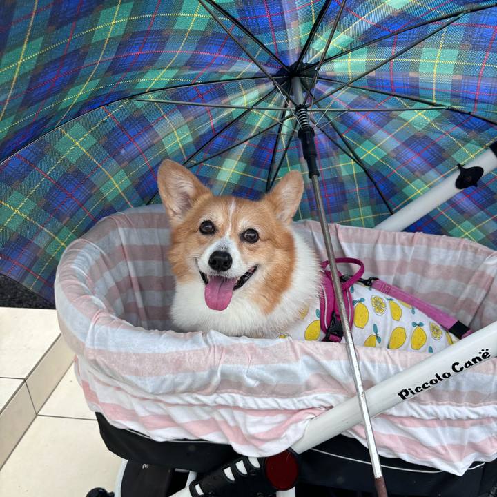 45f0a4c3 6415 4d49 b2a9 f9d8b9c4348b 1728188801832