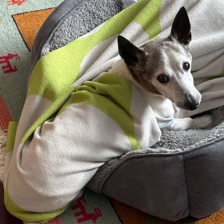 45f10315 1dec 4acc bf0e 738547cbef33 1768321191961