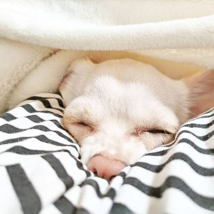 45f17f2a 9de7 4c54 a573 743f698eaeb8 1713298552209