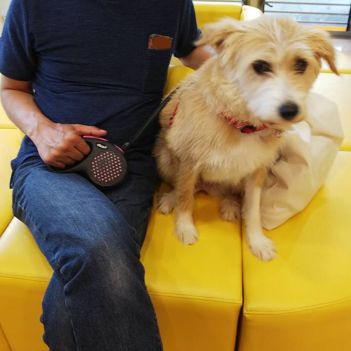 45f198be dd49 4829 a30f c6c65519f5bd 1534309699400