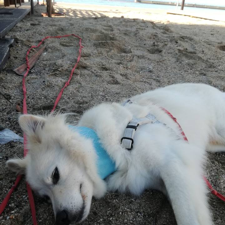 45f1b0af 0c58 4e9d 83ec 967f22fb3380 1531132043092