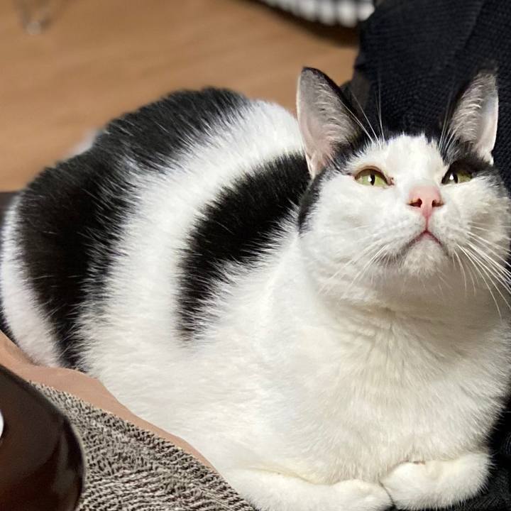 45f1d803 6d30 4f7f 95c7 c10e44c58f1f 1577721338747