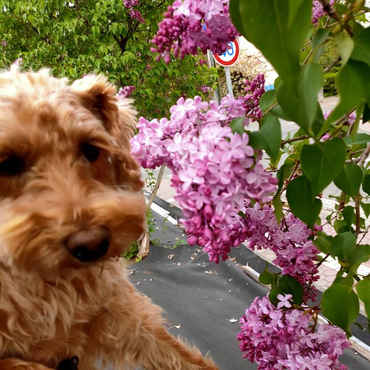 45f205b6 ebec 464f bea7 044dfaac8c40 1589926023640