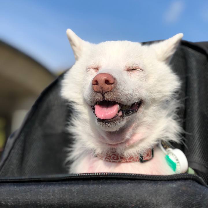 45f20a06 5314 4060 b754 4879c5e0230c 1637050465575