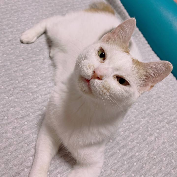 45f223c3 7165 4923 a974 dff12aabaf4c 1658489857388