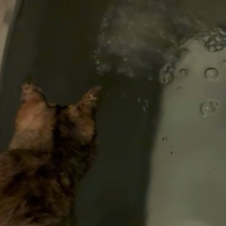 45f25bbe ddba 499a b51e 68169a7077c3 1748808822774