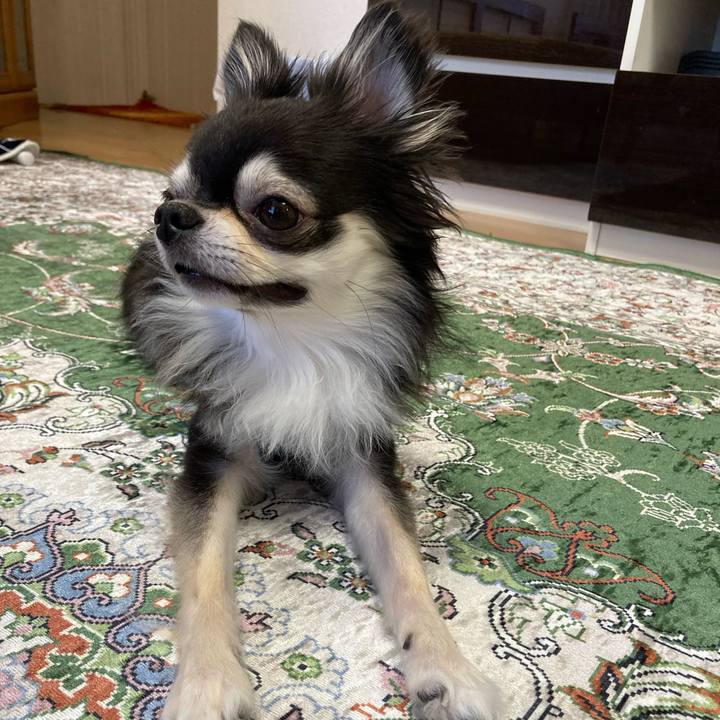 45f2680f 5b43 4053 9442 aec162c19730 1656168721760