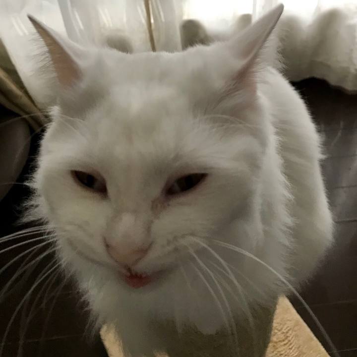 45f290a0 2b41 44aa ad81 98caf11dc306 1552450784762