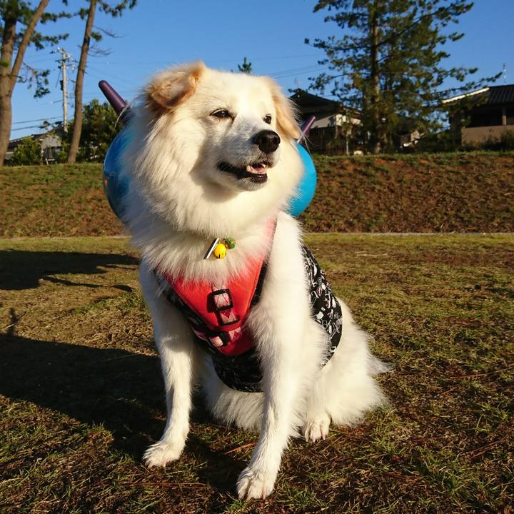 45f29849 ed4f 492b 88d2 05de351c705d 1550405490255