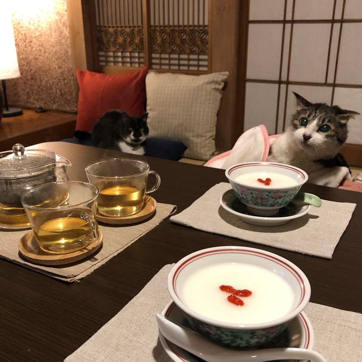 45f2a772 6ba8 4962 b622 daca275d92f4 1543068919473