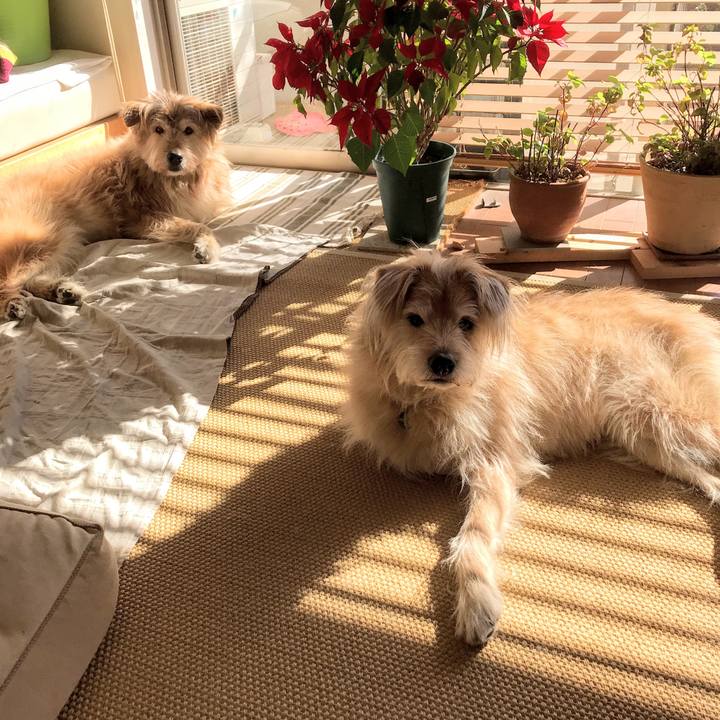 45f2ae16 e2c8 40e7 8540 86bf06315668 1547863274680