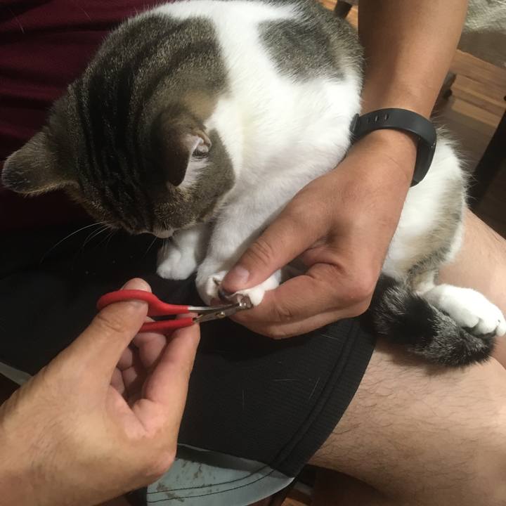 45f2b154 bbf3 4c84 98f5 491bb8e93ce0 1661211847796