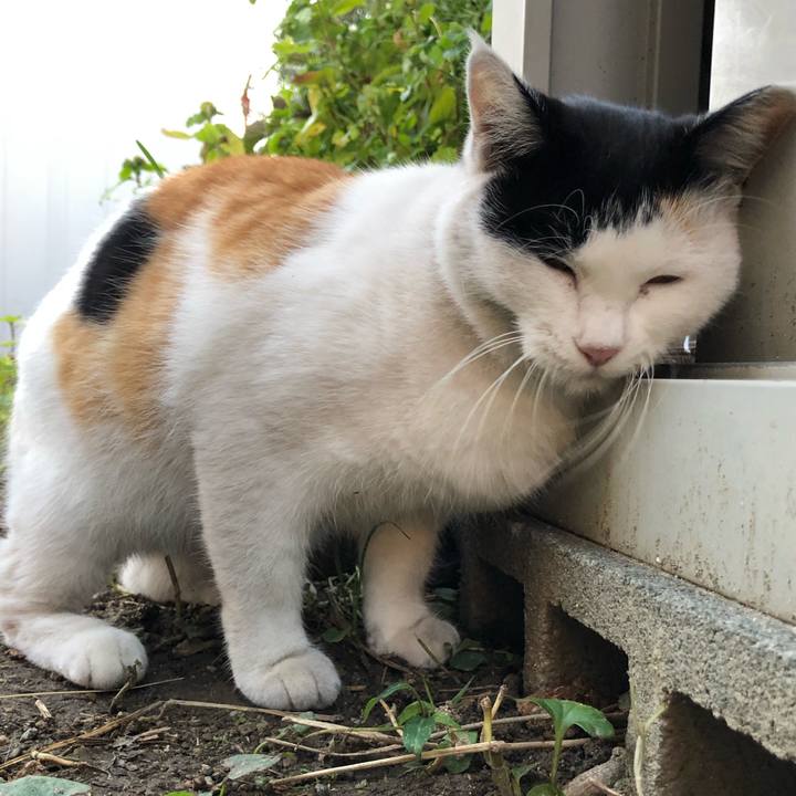 45f2d6dc 8a74 442b 9546 e055f71f14dd 1603664681461