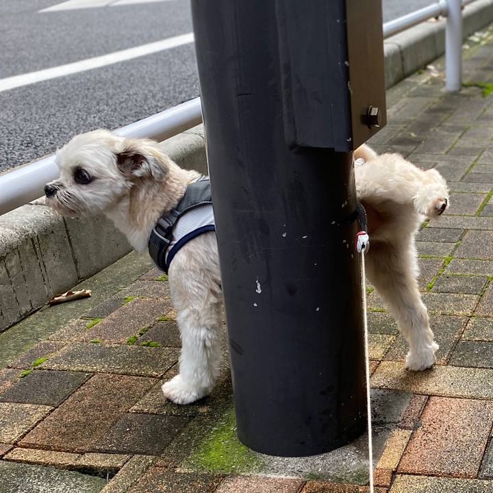 45f2f3e1 368d 4ba6 8bb6 e022c916a6af 1572527229317