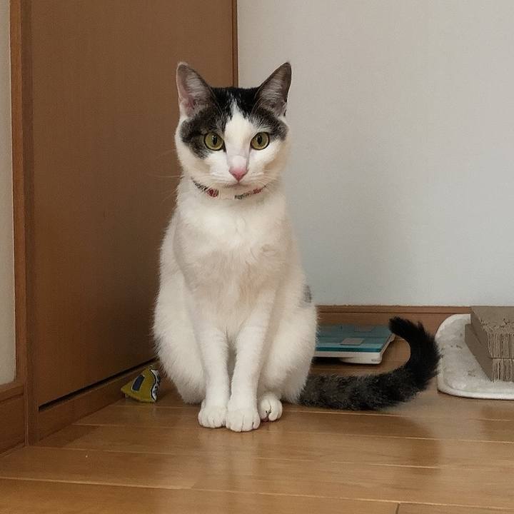 45f30e12 2ff3 43da aa8d e71058878262 1638442290836