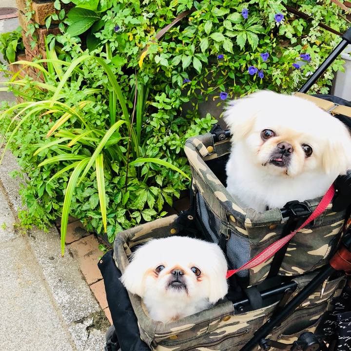 45f31862 719f 44d4 958d 918721705967 1595538745666