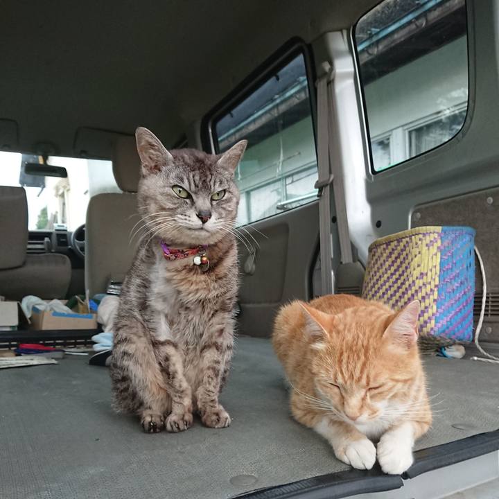 45f31d0f 1919 40b3 acfb 120ae14f61b2 1593509303631