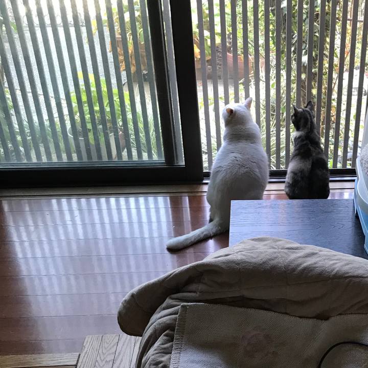 45f343b3 8b56 4ab5 a894 349c4ef91c85 1603285054701