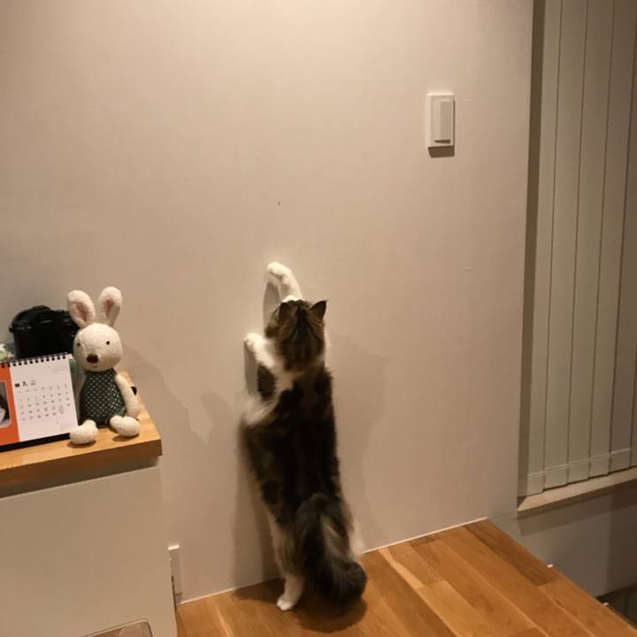 45f350b8 36ef 49c6 86bf 854c8961e0f7 1593781832331