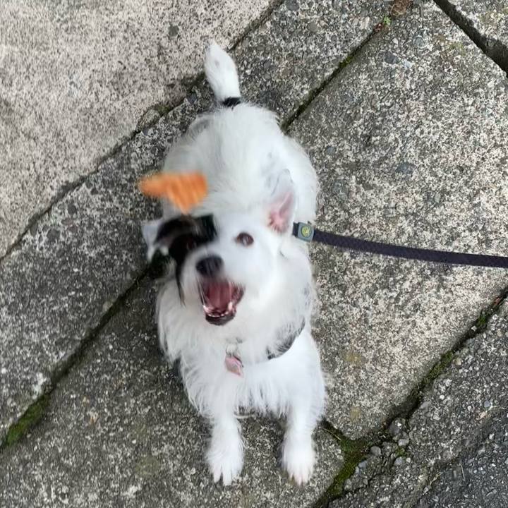 45f38932 c2d1 4046 b840 d6c62cbd3352 1661672669492