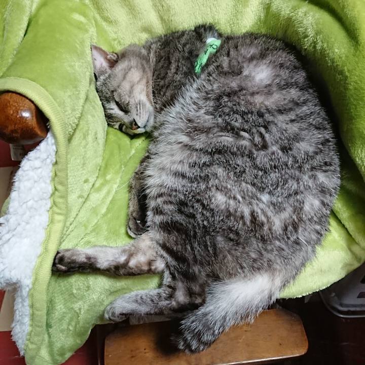 45f389f2 d8a5 496c bdb5 d13500e00c1d 1587183999393