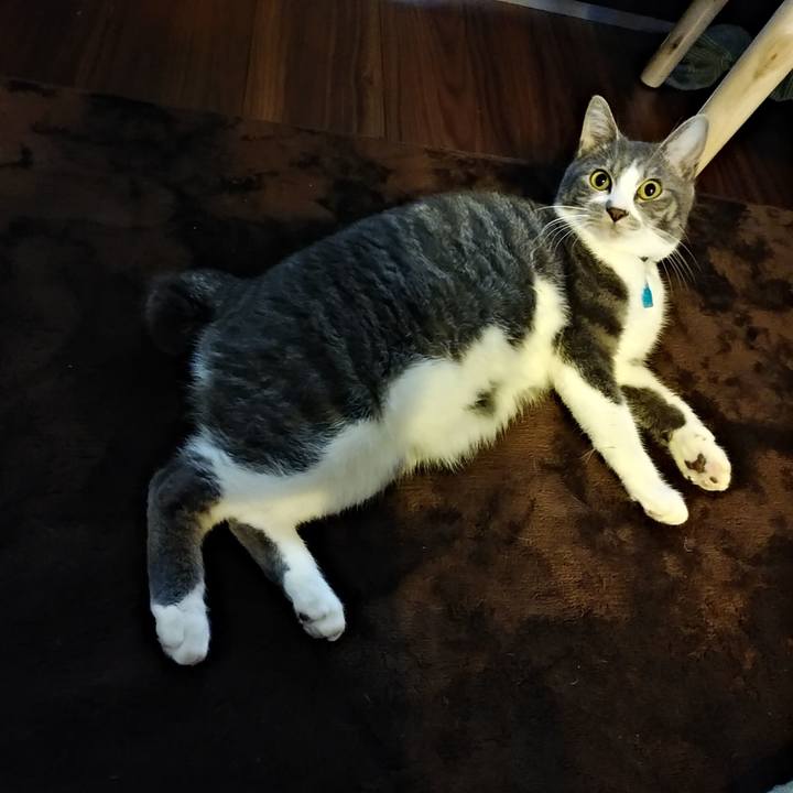 45f3a01b 5a71 4c2c 8a55 5b7e2414e5ee 1582675210248