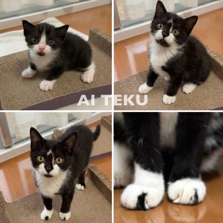 45f3c7c4 0dc7 45a7 a036 494dcef2ebac 1768104349391