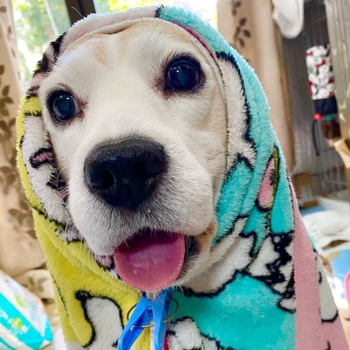 45f3d7e3 a4c8 43bd 8e00 59887ff89654 1641529856046