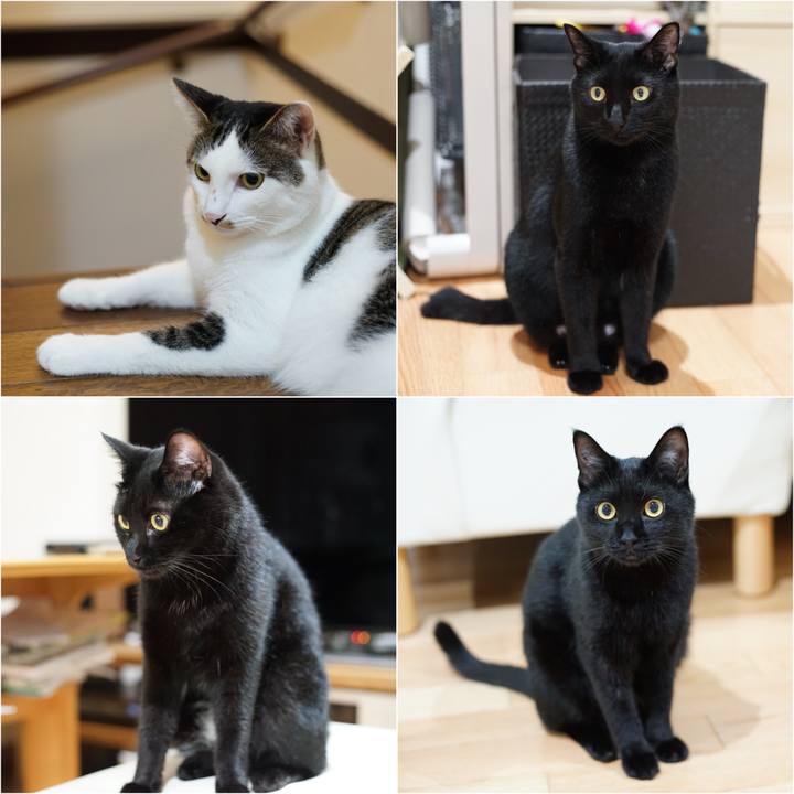 45f3d83c ad5d 4d22 917e 18cdbf441a08 1531576981451