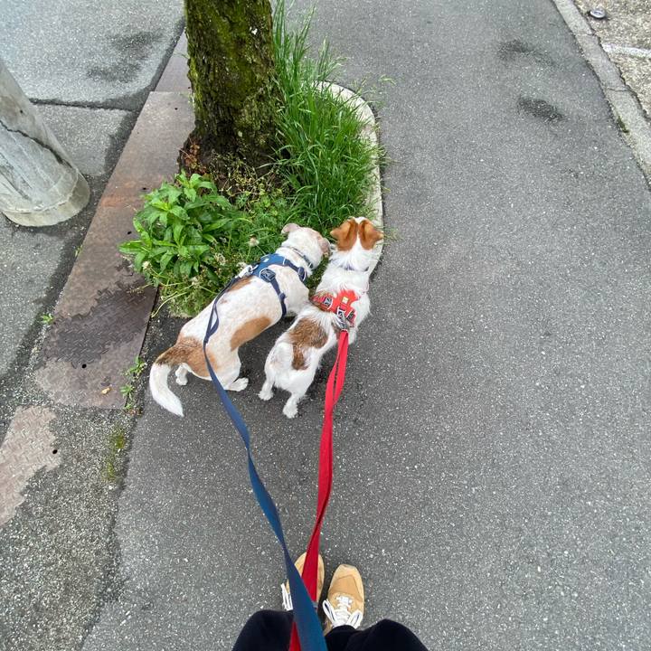 45f40219 148d 4d09 8f63 482451323124 1680913044256