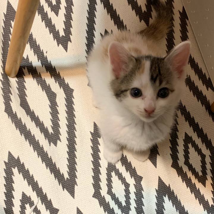 45f40de2 6b9a 4315 8b7f 89a5cee10c3f 1590840057687