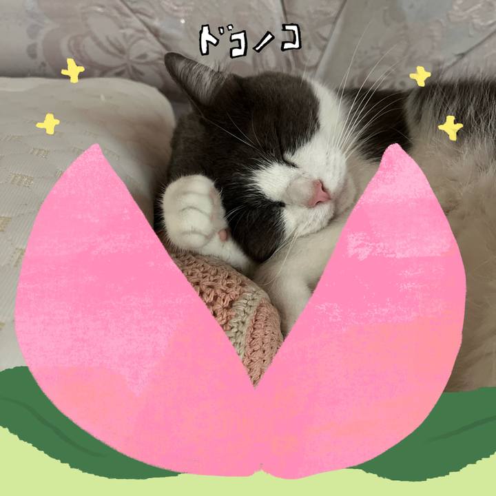 45f426b2 3851 41df b3c5 fc1873bd7ae4 1771908063599