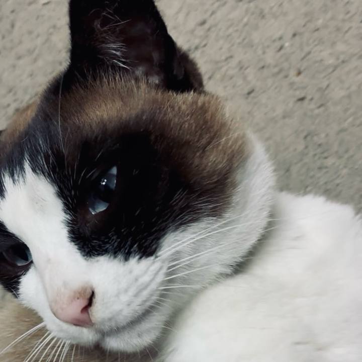 45f42c75 1eab 462a bdd1 e689bf344f15 1747879539934