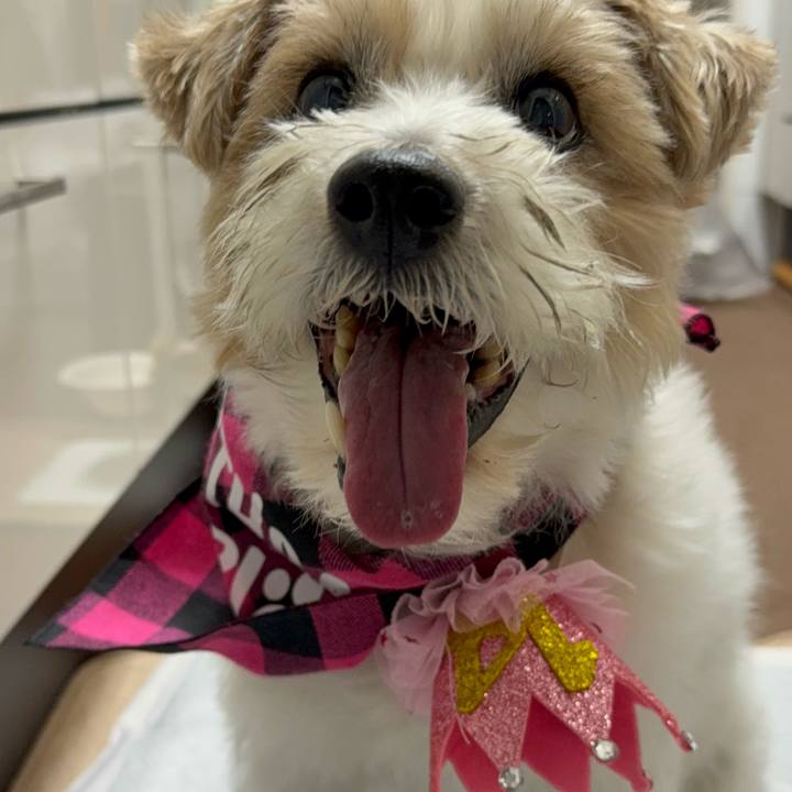 45f44551 5ea5 429e a4d5 7f8f34bc6d07 1768034893356