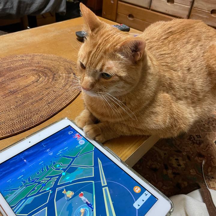 45f44f33 1726 49eb b490 6bc37413a2f9 1677939303352