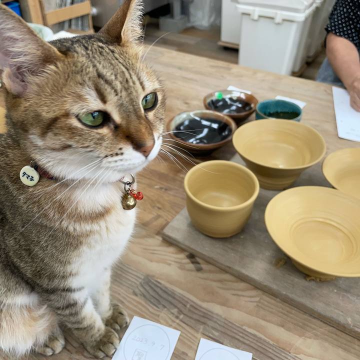 45f50d00 2f5d 464d 85e2 7bfb3bea4505 1694142536660