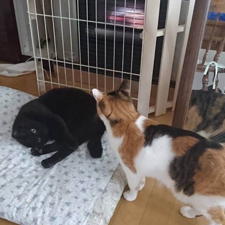 45f58c00 71d6 49f6 9c0a a38a589efd30 1535461605452