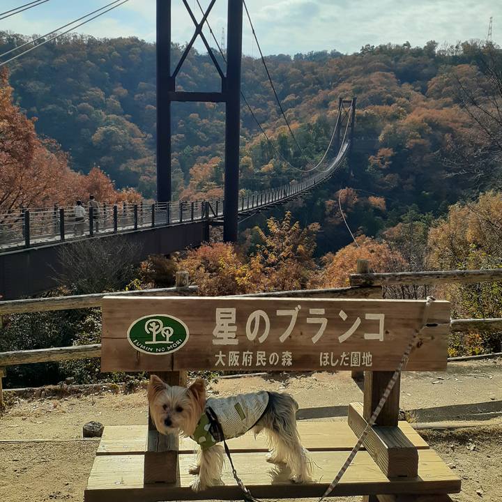 45f59656 8007 470f 8a5f e36c8f182b18 1638770724846