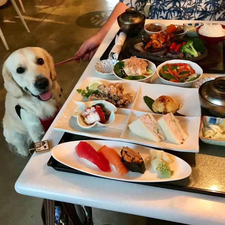 45f59e8f 2206 4af1 8380 5a9c36e109da 1551072010798