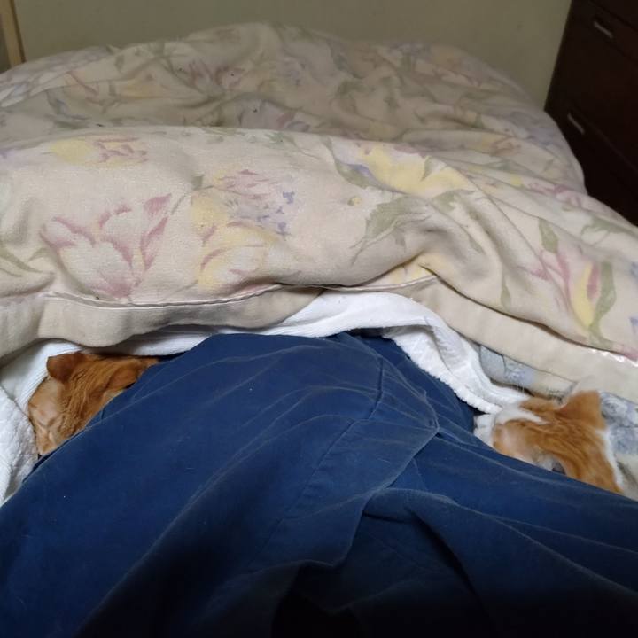 45f5a8a7 5336 43ee b4ca aa21fc58abe3 1740485461571