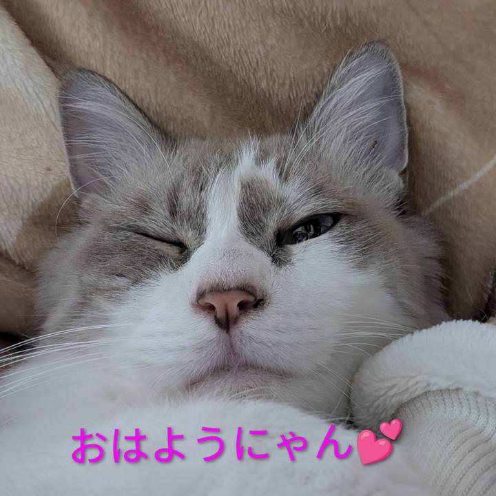 45f5b00e 08bb 4b0d a2b0 c810a08f791c 1764014377309
