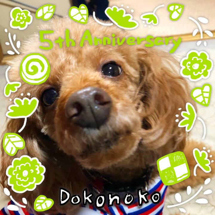 45f5b25f 391a 4ec7 9c0d f2abae221811 1622868503504