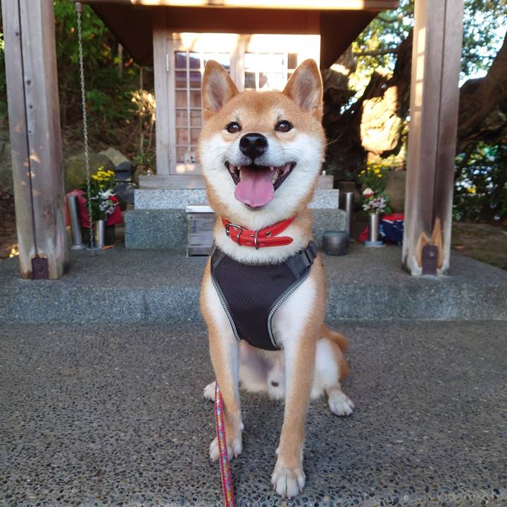 45f5b9c8 6a6c 4976 b19d 2c417c1a7c9c 1756856703440