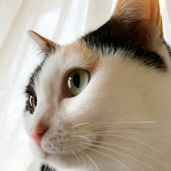 45f5fc33 2172 4c92 a9f1 c84aa9155ba4 1577493763207