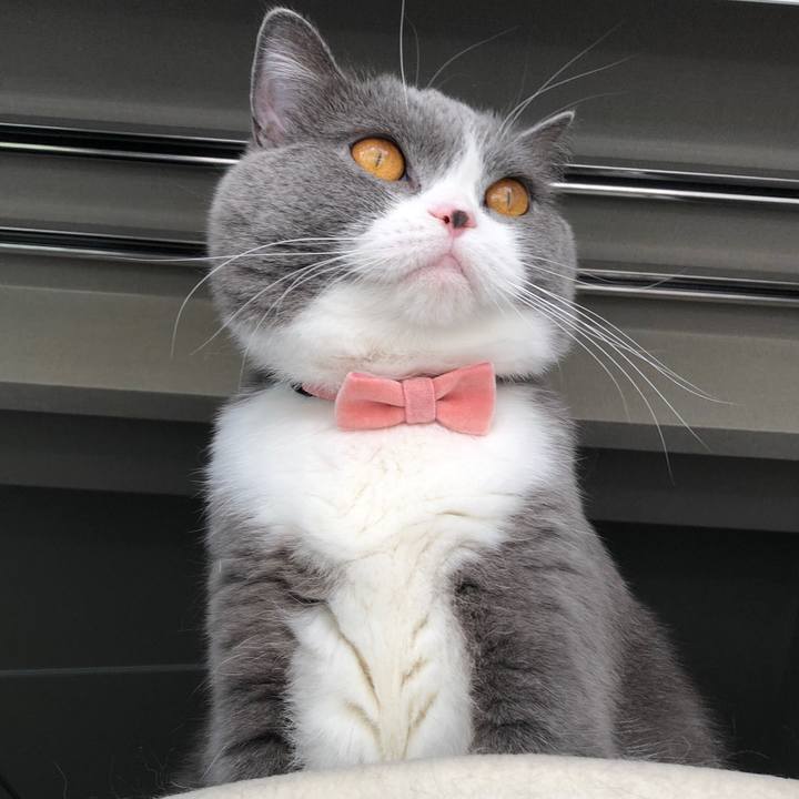 45f61157 537b 49bf 9ce7 cb32c374b030 1526091557949